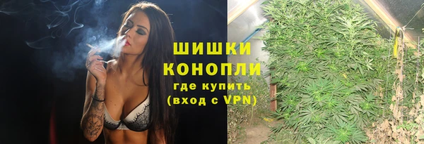 ECSTASY Ельня