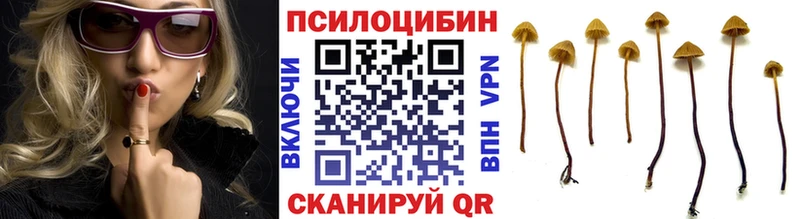 Псилоцибиновые грибы ЛСД  Ивангород 